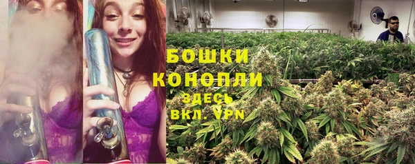 альфа пвп Бородино