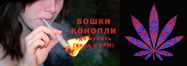 альфа пвп Бородино